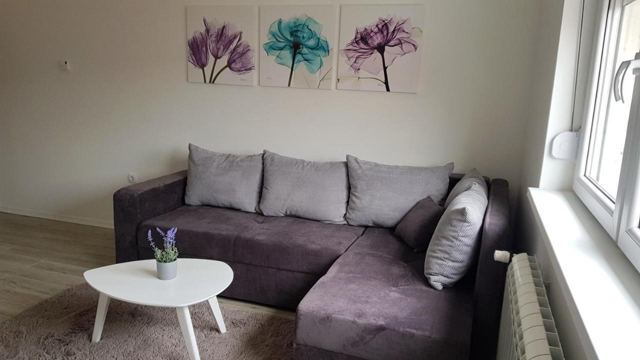 Apartments Spring Čačak Dış mekan fotoğraf